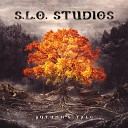 S L O Studios - The Oracle s Vision
