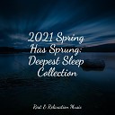 Yoga Music Spa Deep Sleep - Green Dimension