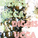 Digris Ucca - Fine Times