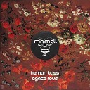 Hernan Bass - Mal Compris Petar Cvetkovic Remix