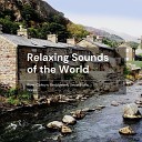 Relaxing Sounds of the World - River Colwyn Beddgelert Snowdonia Wales River Stream Water Nature Ambience Part 3…