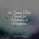 White Noise Sound Garden Rain Storm Sample Library Meditation Music… - Birds Singing by a Waterfall