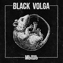 BLACK VOLGA - Мышь