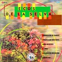 Marimba Orquesta Ecos de La Selva - El Cable