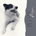 Pet Love Academy - We Love Your Calmness Flute Guitar