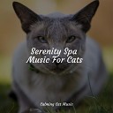 Official Pet Care Collection Jazz Music Therapy For Cats Calm Music for… - Stress Relief