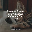 Official Pet Care Collection Music for Cats Project Jazz Music Therapy for… - Lullaby