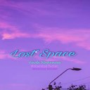 Fazlu Raheman Mohammed Farhan Mohammed… - Lost Space
