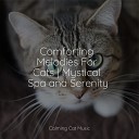 Music for Cats Deluxe Calm Music for Cats… - Serenity Waves