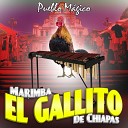Marimba El Gallito De Chiapas - Orar Por Mis Tristezas