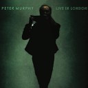 Peter Murphy - A God In an Alcove Live