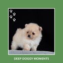 Dog Chill Out Music - Hopeful Conscience Evenings