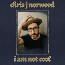 Chris J Norwood - I Wrote You a Song
