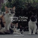 Jazz Music Therapy For Cats Cat Music Therapy Cat Music… - A Time for Relaxation