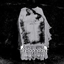 Photophobia - Rotting in This Putrid Life