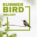 Bird Song Group - Birds and River