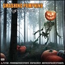 Smashing Pumpkins - Porcelina of the Vast Oceans Live