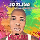 Jozlina feat Mandisa Kay - Ingxaki