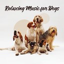 Dog Music Oasis - Dog Relaxation