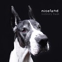 Niceland - You Break in You Break Out