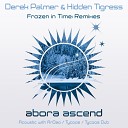 Derek Palmer Hidden Tigress - Frozen In Time Tycoos Extended Remix