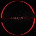 Salient - Mountain Top