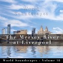 Christopher Seufert - The Mersey River at Liverpool Pt 2