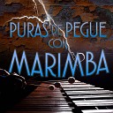 Marimba del Sureste - Blancas Mariposas