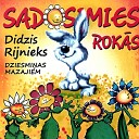 Didzis Rijnieks - Visi kop Instrument lais pavad jums