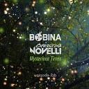 Bobina Christina Novelli - Mysterious Times Extended Mix