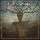 In The Woods - A Wonderful Crisis