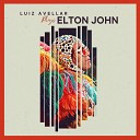 Luiz Avellar - Skyline Pigeon