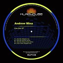 Andrew Mina - Like This Original mix