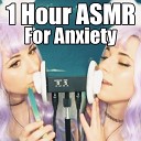 ASMR LillyVinnily - Tapping Inside Your Brain