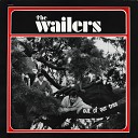 The Wailers - Dirty Robbers