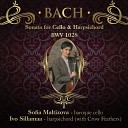 Sofia Maltizova baroque cello - Bach Sonata for Cello Harpsichord 2 Allegro Bwv 1028 Ivo Sillamaa Harpsichord With Crow…