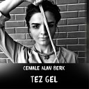 Cemale Alan Berk - Tez Gel