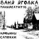 Ваня Ягодка feat Панкреатит… - Хрюшины Сапожки