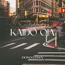 Kaido Oja - Funky Town