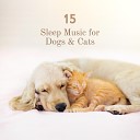 Meditation Music Zone Pet Music Academy Classical Music for… - Dog Zone