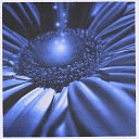 Astral Tones - Lotus Flower