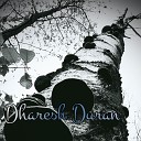 Dharesh Duran - Live Feel