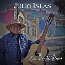 Julio Islas - Adi s Sin Rencor