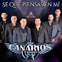 Los Canarios De Michoacan - Dame Un Beso