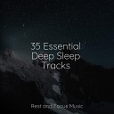Massage Therapy Music Sleep Songs 101 Spa Music… - Rain Shower Lullaby