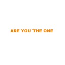 Josh Stanley Joshy Raybs - Are You the One