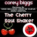 Rockstar - The Cherry Soul Shaker Dom Digital Remix