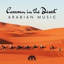 Mindfullness Meditation World - Wandering Camel Train