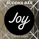Buddha Bar chillout - Natural Blues
