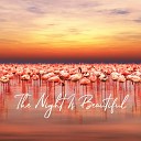 Essential Sleep Music - The Night Is Beautiful Pt 1
